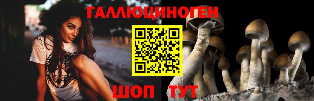 Псилоцибиновые грибы GOLDEN TEACHER  Вход с VPN  Сосновый Бор 