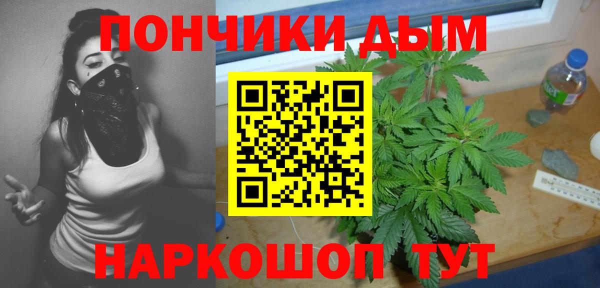 Бошки Шишки Amnesia  Шишки марихуана VHQ  Конопля конопля  Сосновый Бор  Вход с VPN 